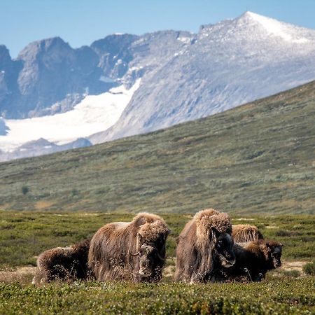 Furuhaugli Fjellhytter Vålåsjø Екстериор снимка